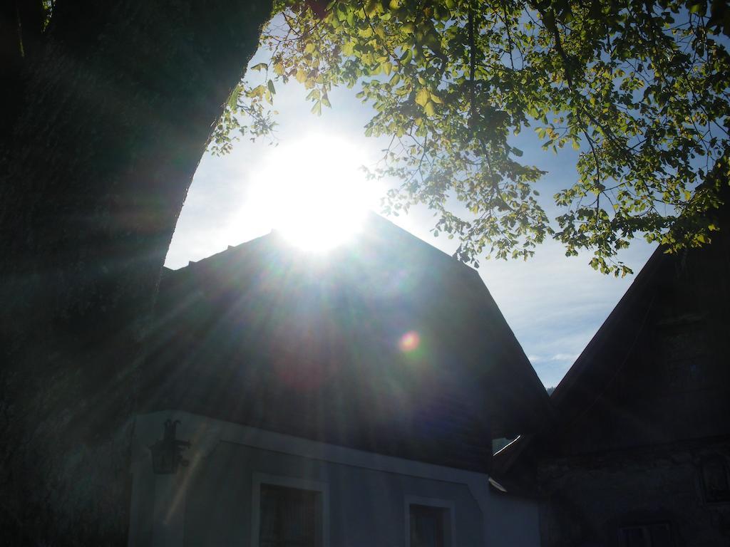 Villa Bio-Bauernhof Kurzeck à Göstling an der Ybbs Extérieur photo