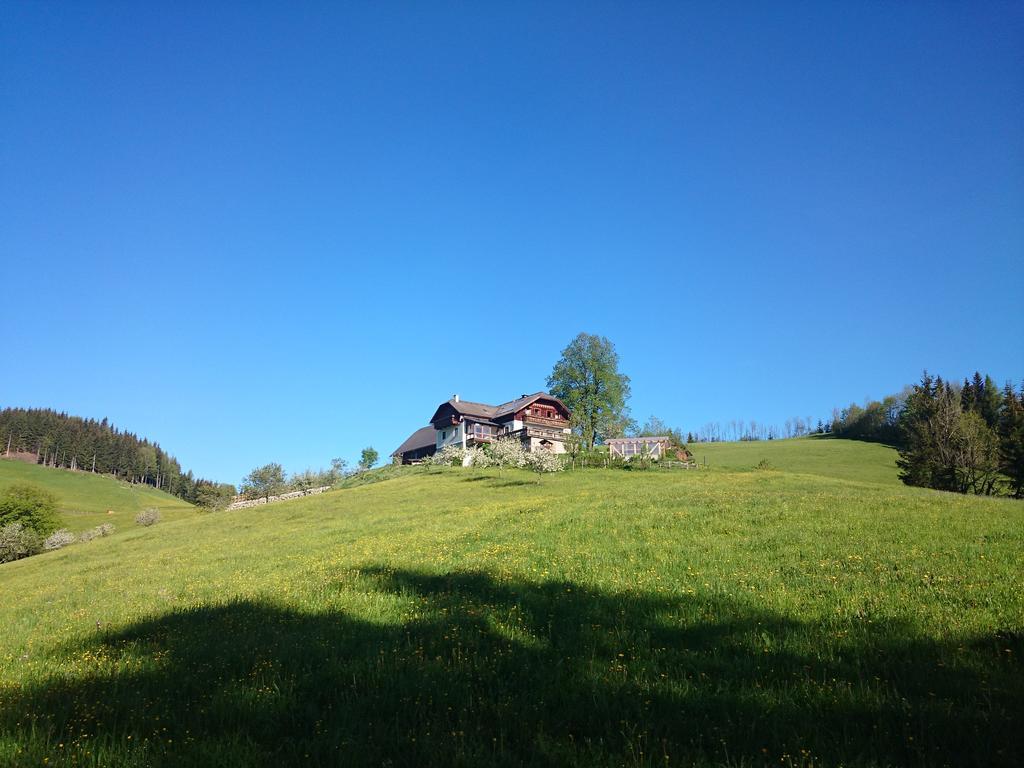 Villa Bio-Bauernhof Kurzeck à Göstling an der Ybbs Extérieur photo