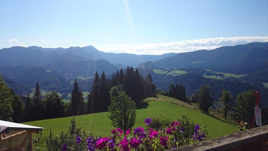 Villa Bio-Bauernhof Kurzeck à Göstling an der Ybbs Extérieur photo